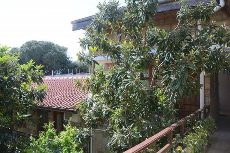 Antonios Motel Side Buitenkant foto